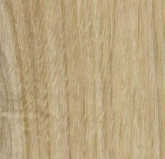 Кварцвиниловые полы Forbo Effekta Intense 41135 P Honey Authentic Oak INT фото 1 | FLOORDEALER